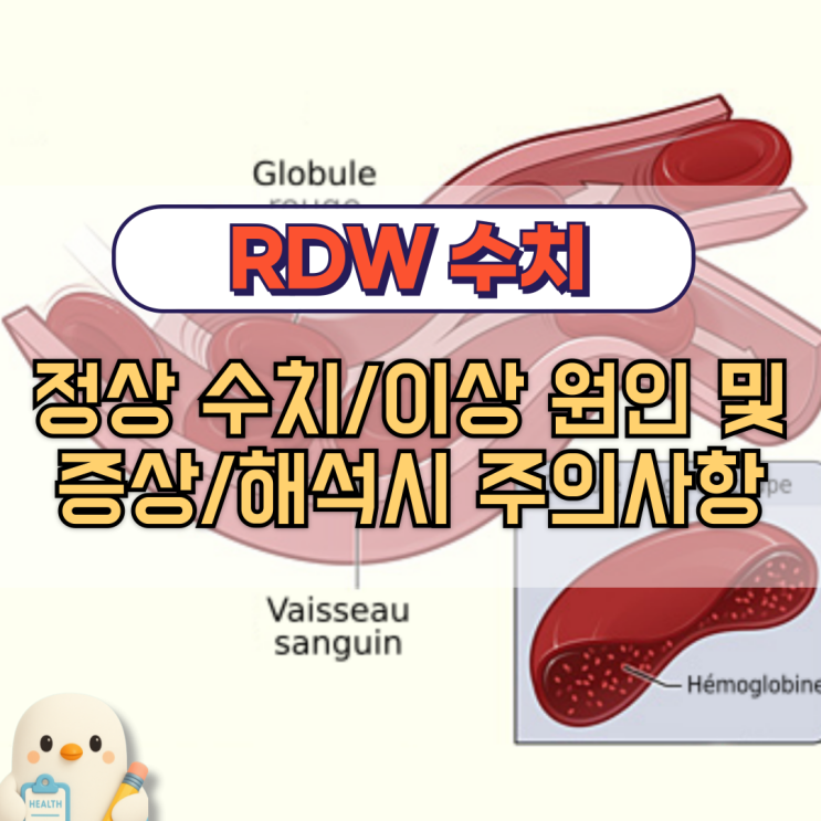 RDW 수치 : 높으면 낮으면 증상 원인 해석 주의사항 : 네이버 블로그