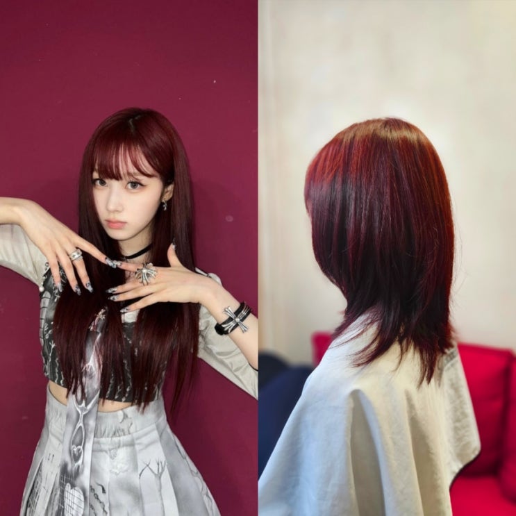 더니브라운 사진