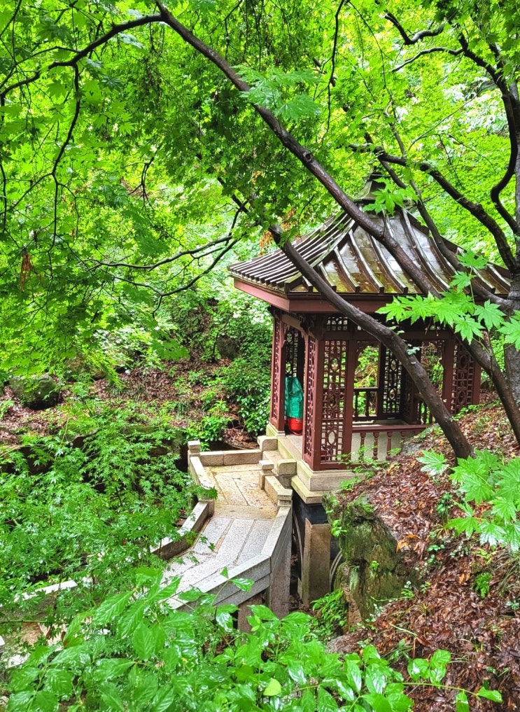 서울 부암동 석파정 서울미술관 전시 둘러보기 : 네이버 블로그