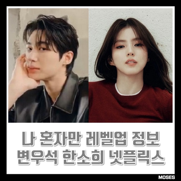 나혼자만레벨업 성진우 변우석 차해인 한소희 캐스팅 넷플릭스 오리지널 드라마 작품정보 원작 줄거리 결말 OTT : 네이버 블로그