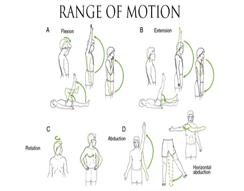 울산 북구 PT / Range of Motion (ROM) measurement methods (by joint) 관절별 관절 ...