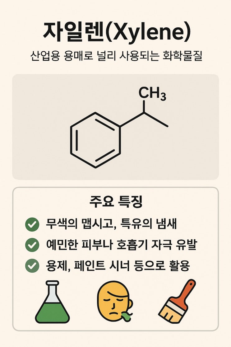 알쓸신화 - 자일렌(Xylene): 특성, 용도, 안전 관리까지 완벽 가이드 : 네이버 블로그
