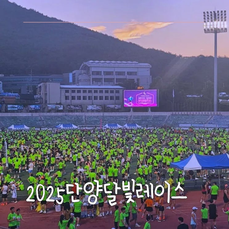 🏆달리는일상 |  《2025단양달빛레이스》 마라톤참가후기 기록칩 기록조회 코스안내 완주메달 기념품 경품 시상식 5KM 10KM