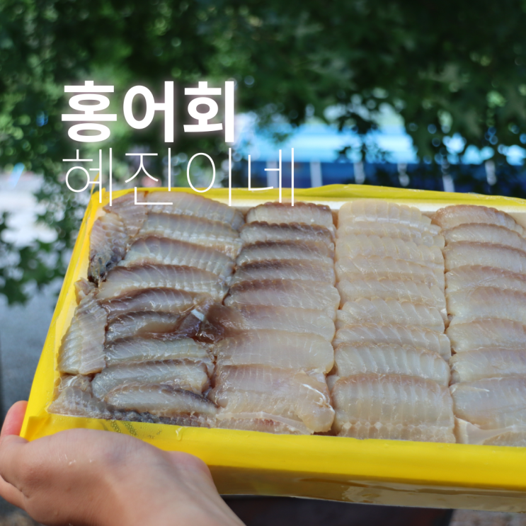 흑산도홍어 제대로 즐긴 삭힌홍어 후기 : 네이버 블로그