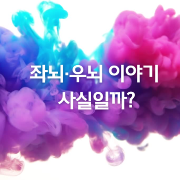 좌뇌·우뇌 이야기, 사실일까?
