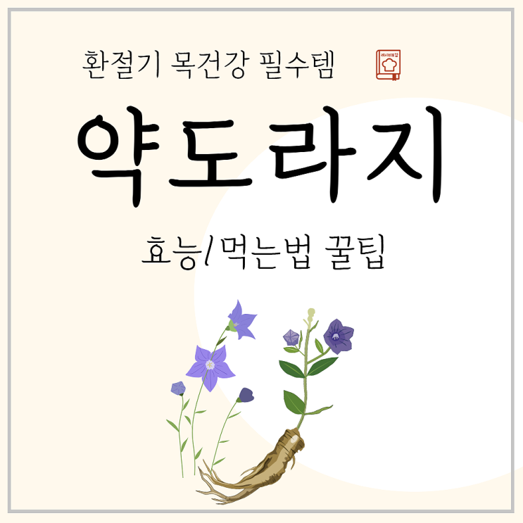 폐에 좋은 약초 길경, 산도라지 약도라지 효능 : 네이버 블로그