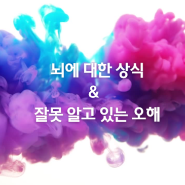 뇌에 대한 상식 & 잘못 알고 있는 오해