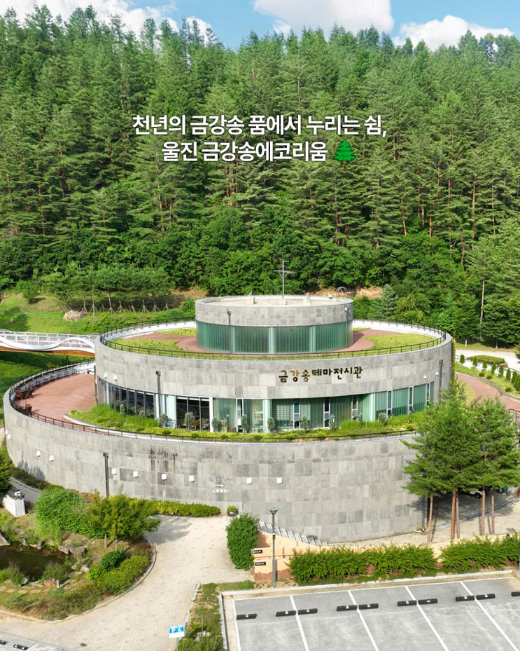천년의 금강송 품에서 누리는 쉼, 울진 금강송에코리움 🌲 : 네이버 블로그