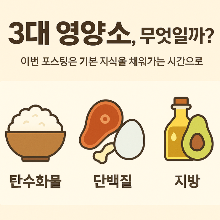 3대 영양소 기본 개념과 균형 있는 섭취 방법 : 네이버 블로그