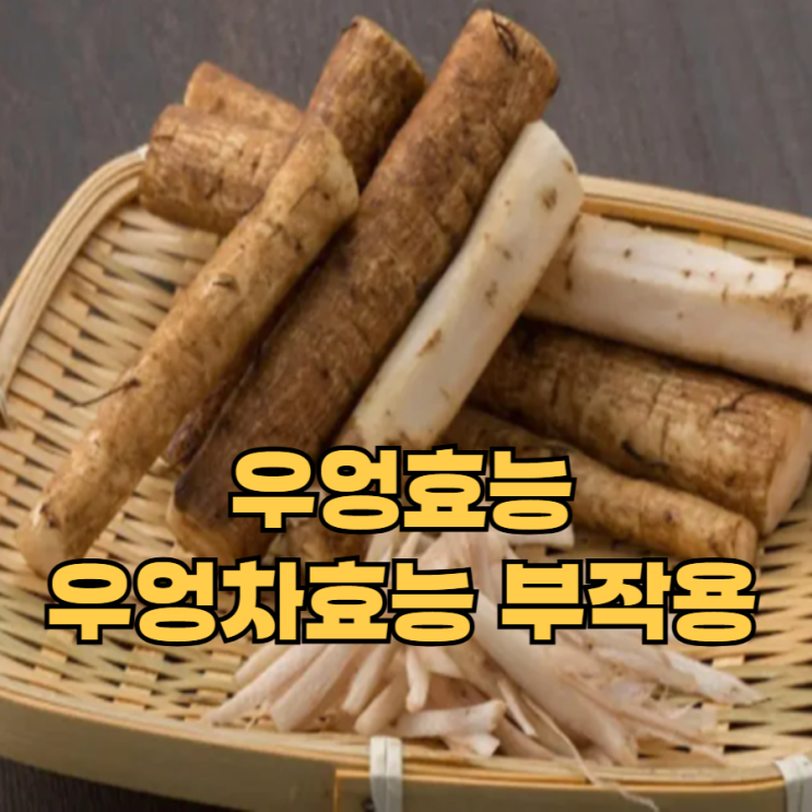 우엉효능 우엉차효능 부작용 : 네이버 블로그