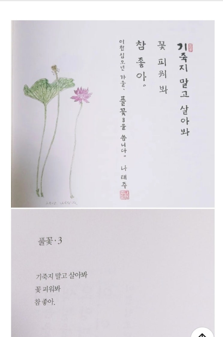 나태주 풀꽃 3 : 네이버 블로그