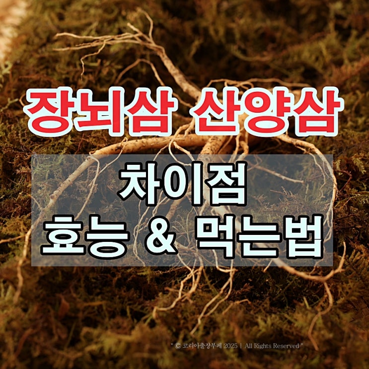 장뇌삼 산양삼 차이, 효능과 먹는 법 : 네이버 블로그