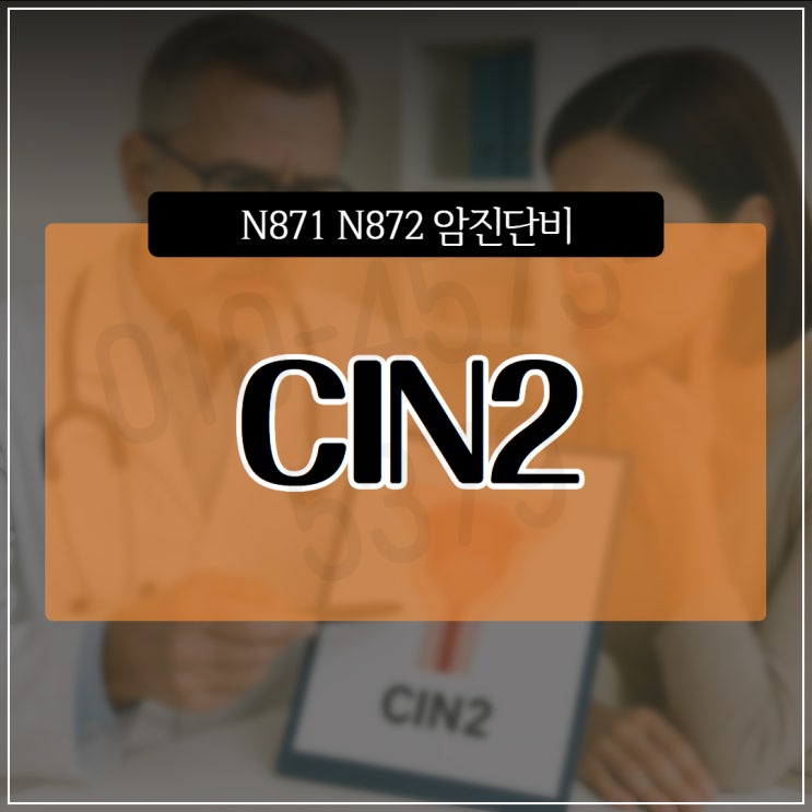 CIN2 HSIL N871 N872 제자리암 진단비 보험금 청구 쟁점 분석 : 네이버 블로그