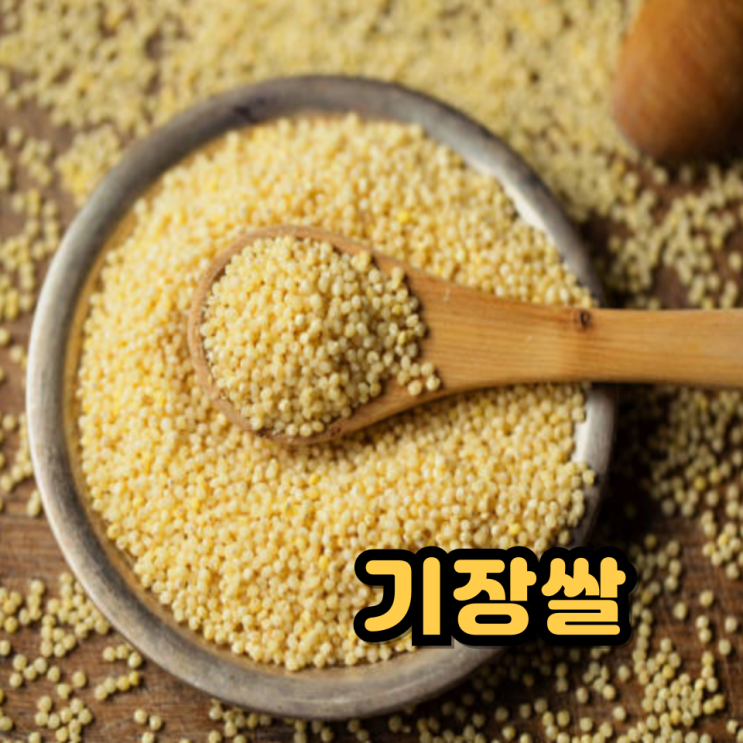 찰기장효능 영양성분 기장쌀 먹는법 부작용 : 네이버 블로그