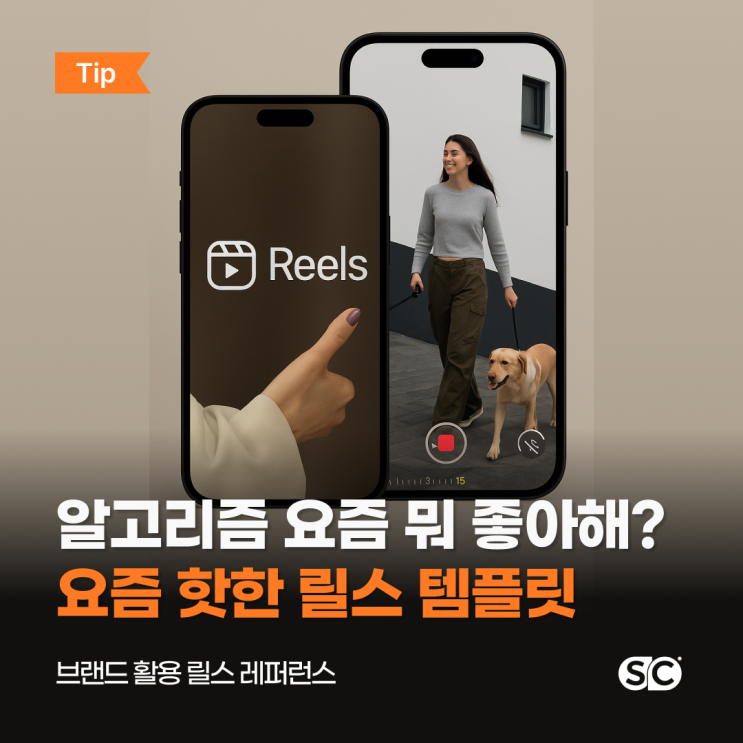 요즘 유행하는 릴스 : 네이버 블로그