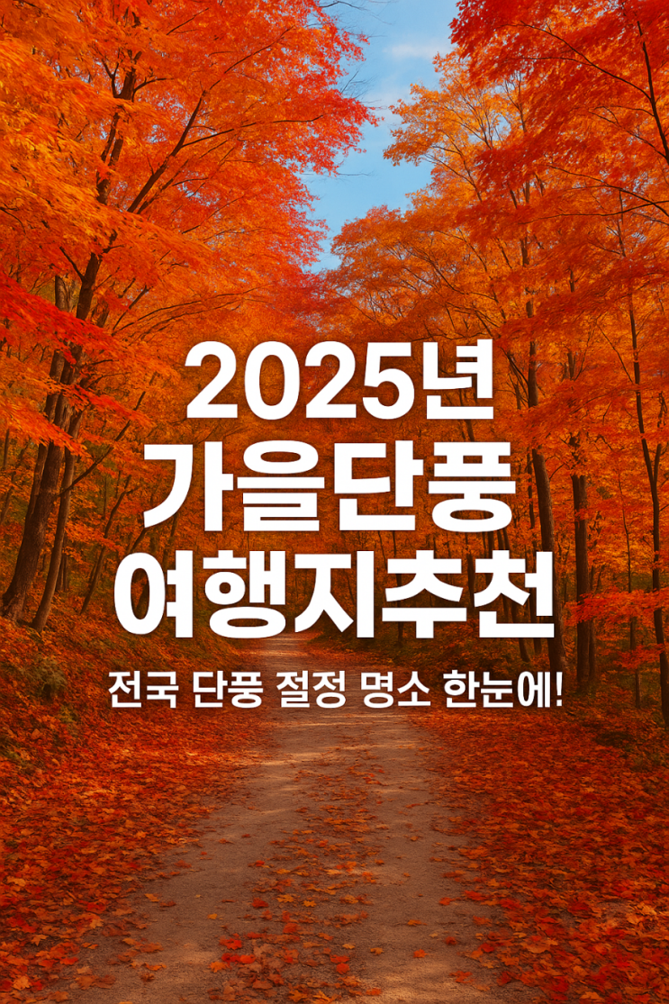 전국 단풍 절정 시기 공개! 2025년 가을단풍 여행지추천 & 꿀팁 모음,단풍여행 필수템추천 : 네이버 블로그