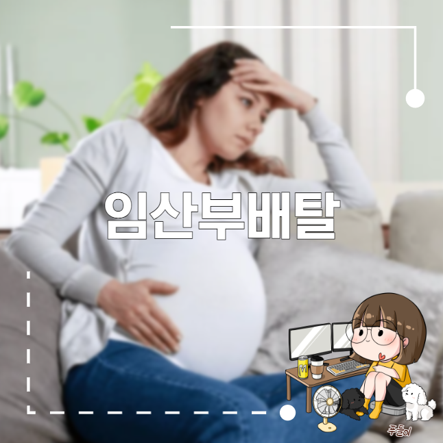 임산부 배탈 환경적 심리적 요인 알아보기 : 네이버 블로그