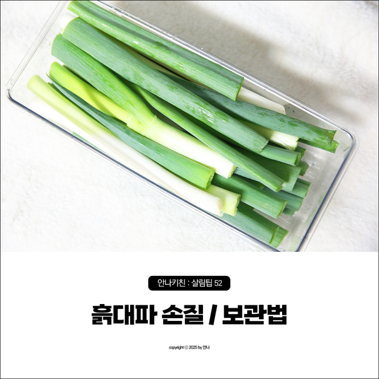 대파 오래 보관법 냉장 기간, 흙대파 손질, 보관 이제 깐대파 안사요! : 네이버 블로그