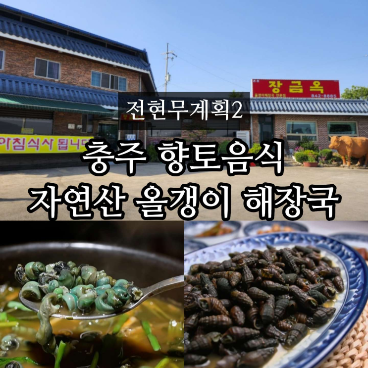 전현무계획2 충주 자연산 올갱이 해장국 로컬 해장국집 맛집 장금옥 위치 정보 : 네이버 블로그