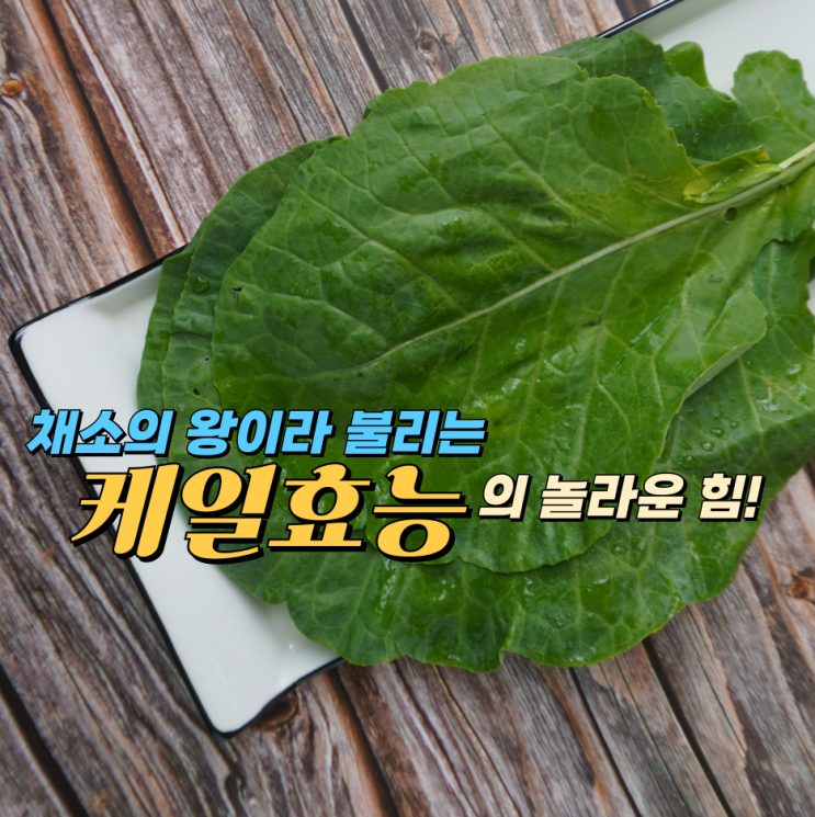 케일효능과 영양성분, 부작용까지 총정리 : 네이버 블로그