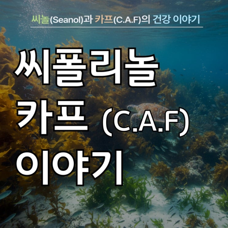 씨놀(Seanol)과 카프(C.A.F.)의 세포회복 건강이야기~ 폴리페놀과 딜리버런스K : 네이버 블로그
