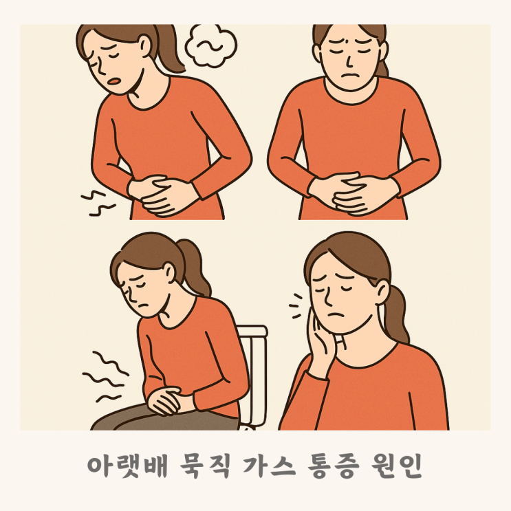아랫배 묵직 가스 통증 원인 : 네이버 블로그