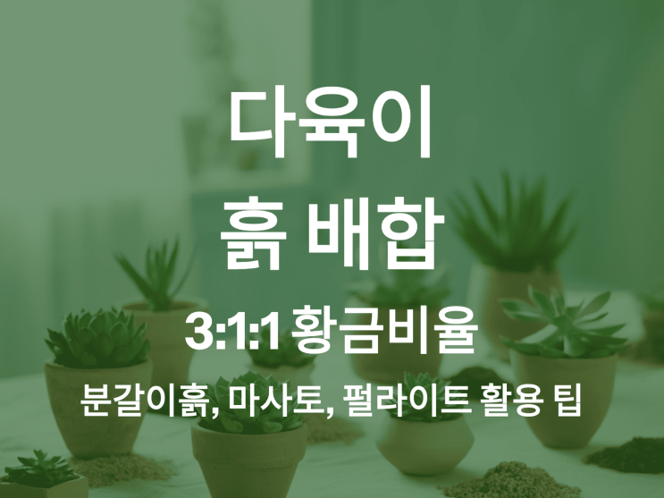 다육이 흙 배합 3:1:1 황금비율 – 분갈이흙, 마사토, 펄라이트 활용 팁 : 네이버 블로그