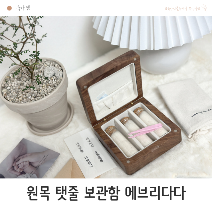 신생아 배꼽 제대탈락 시기 보관 원목 탯줄 보관함 에브리다다 : 네이버 블로그
