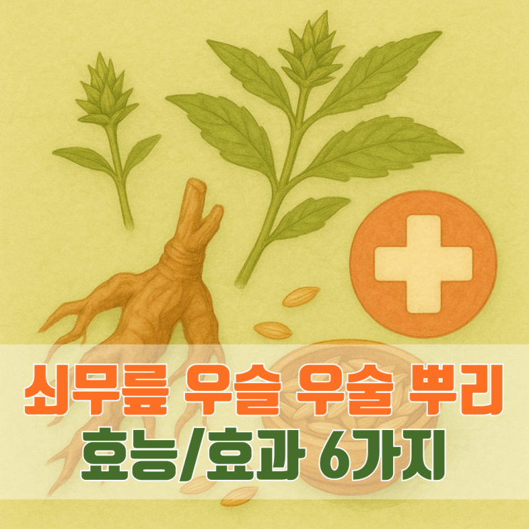 쇠무릎이라 불리는 우슬 우술 뿌리 효능 효과 6가지 : 네이버 블로그