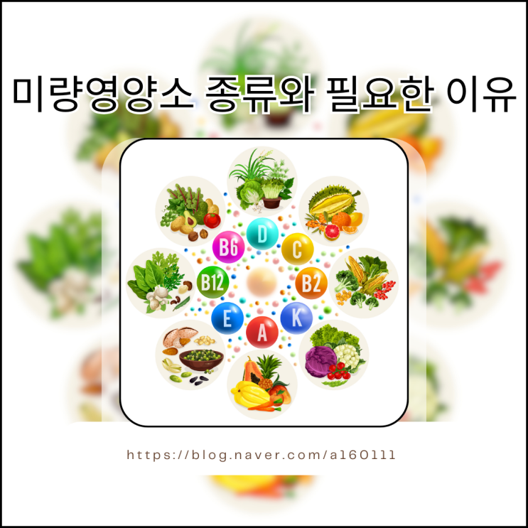 미량영양소 종류와 우리 몸에 꼭 필요한 이유 : 네이버 블로그
