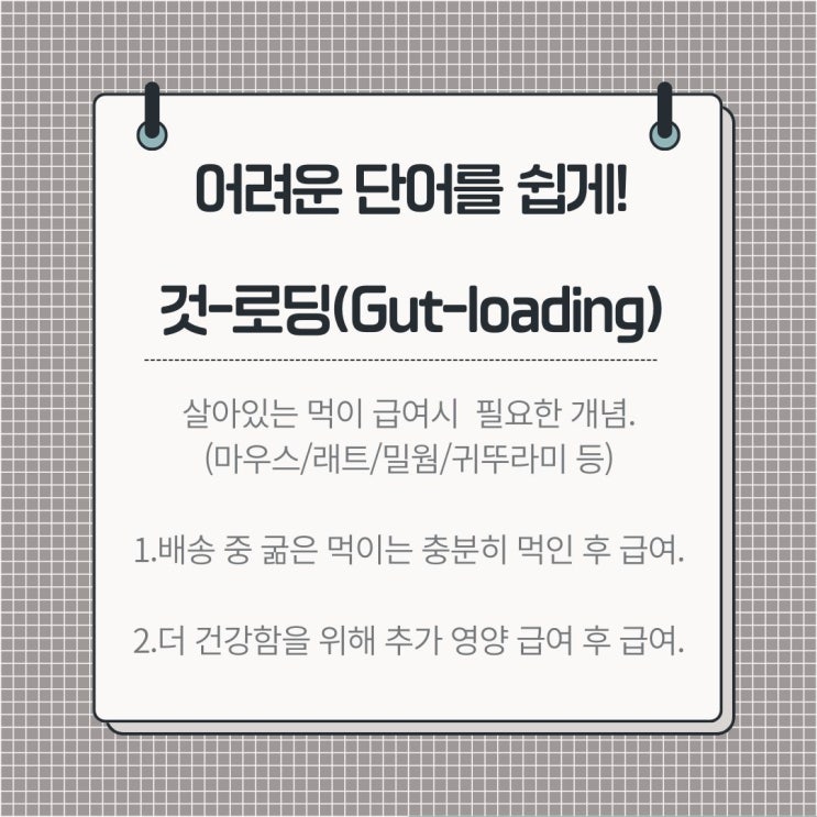 [양서파충류 키우기] 것-로딩 (gut-loading) 이해하기 : 네이버 블로그