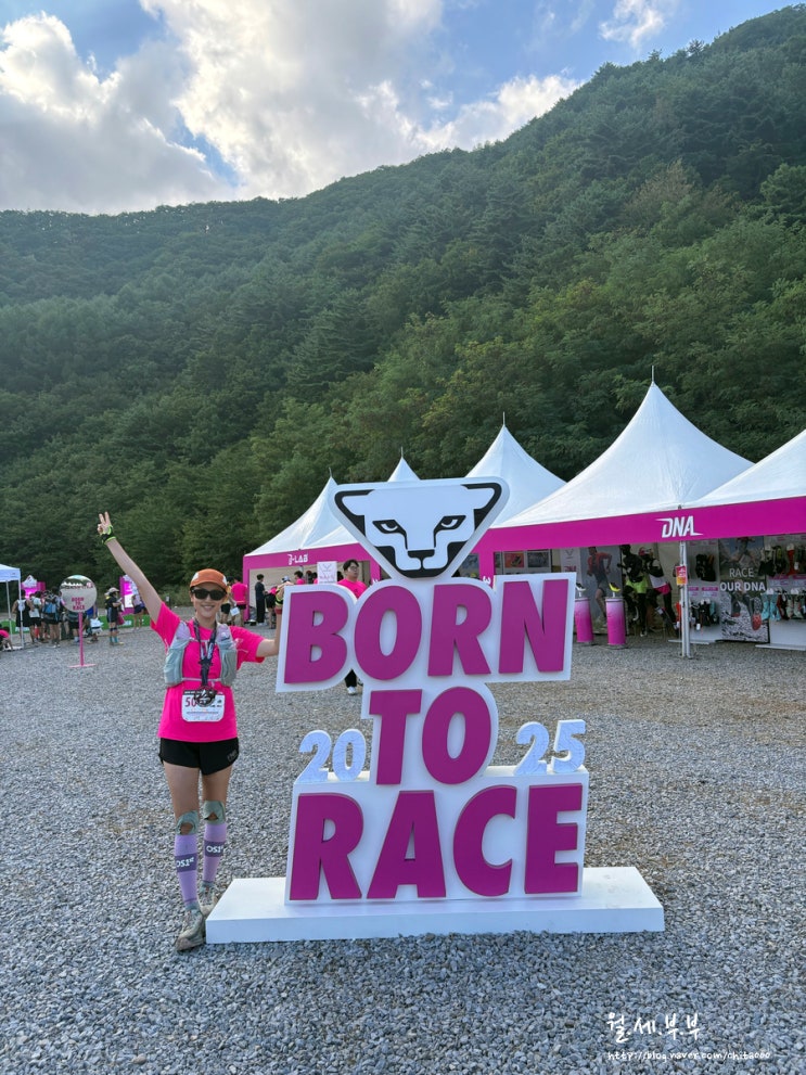 2025 다이나핏 태백 트레일러닝 51K :: 두번째 완주 성공 / 부부 트레일러너