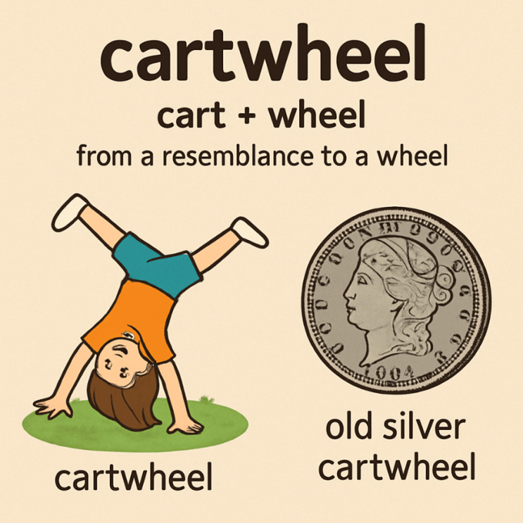 옆돌기 영어로 cartwheel : 네이버 블로그