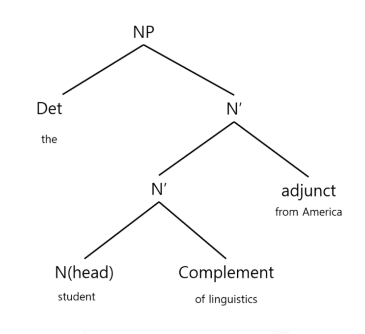NP 내 Complement와 adjunct의 구분 : 네이버 블로그