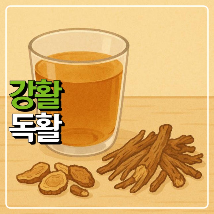 강활 독활 효능, 관절·두통에 좋은 뿌리 약재 : 네이버 블로그