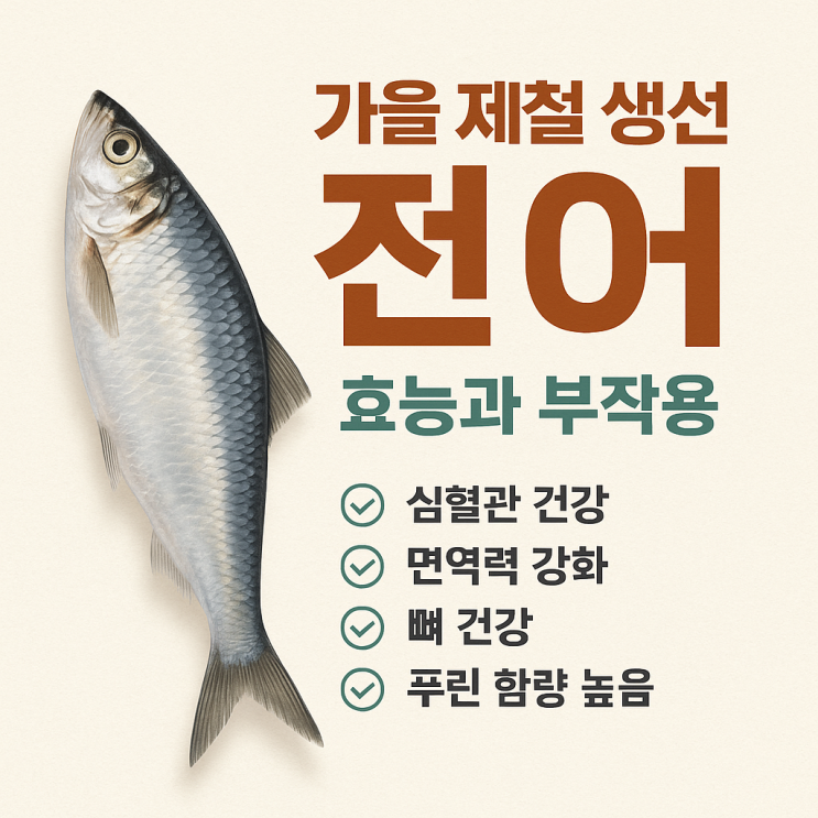 가을 제철 생선 전어 효능과 부작용, 꼭 알아야 할 꿀팁 : 네이버 블로그