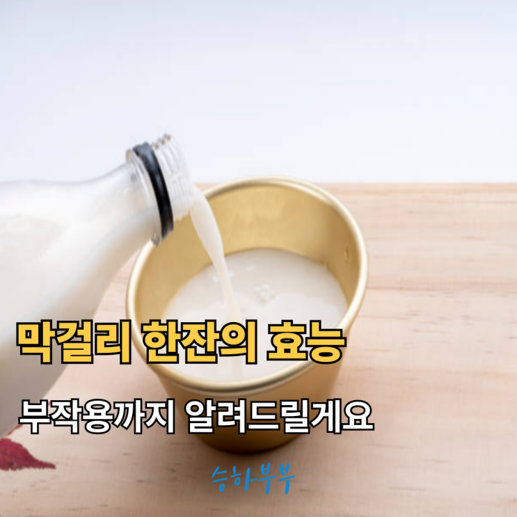 막걸리 한잔 효능 6가지와 부작용까지 : 네이버 블로그