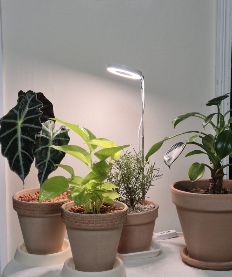 쿠팡 식물 LED 조명, 식물등 추천 🌿 : 네이버 블로그