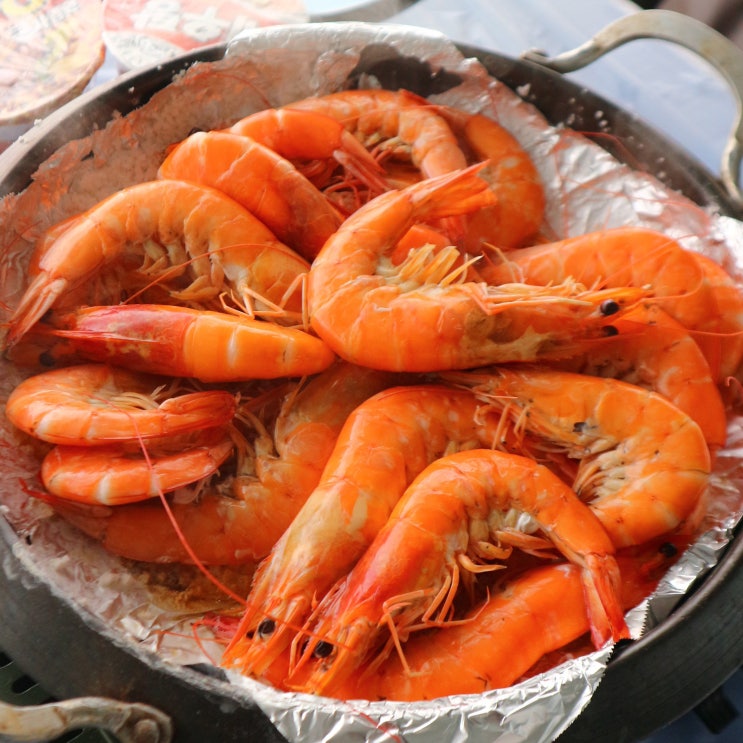 김포 새우 약암 새우양식장 강화돼지수산 방문기 : 네이버 블로그