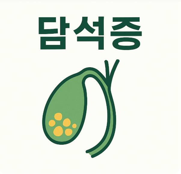 담석증 원인 증상 명치 부위 통증 합병증 종류 치료 예방 담낭 담즙 색소 콜레스테롤 담석 무증상 담석 돌 : 네이버 블로그