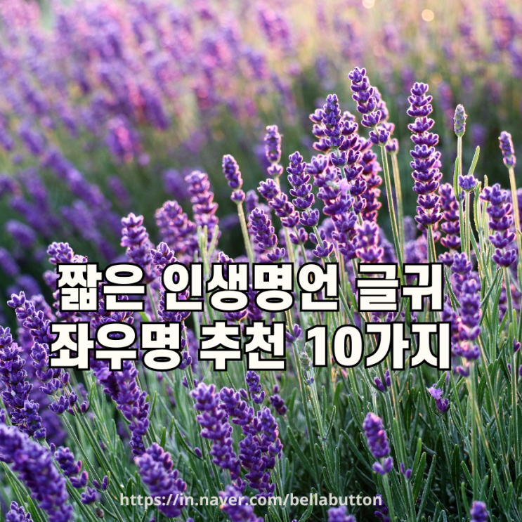 마음에 새기고 싶은 짧은 인생명언 글귀, 좌우명 추천 10가지 : 네이버 블로그