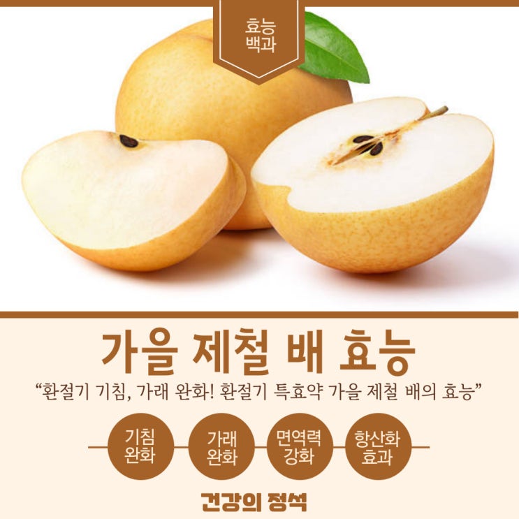 가을 제철 배 효능, 환절기 목 기관지 기침 완화 효과 : 네이버 블로그