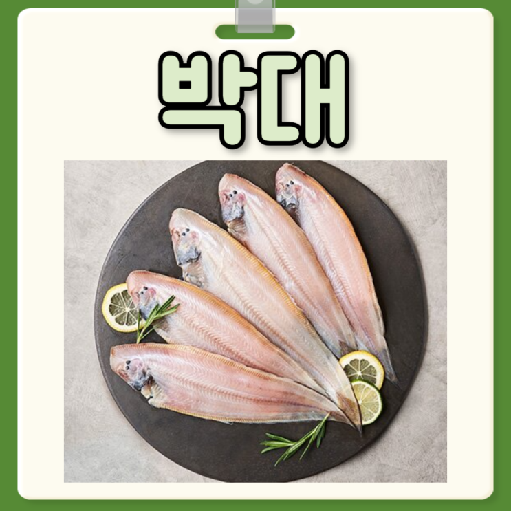 박대 효능 부작용 박대 손질 먹는 법 : 네이버 블로그