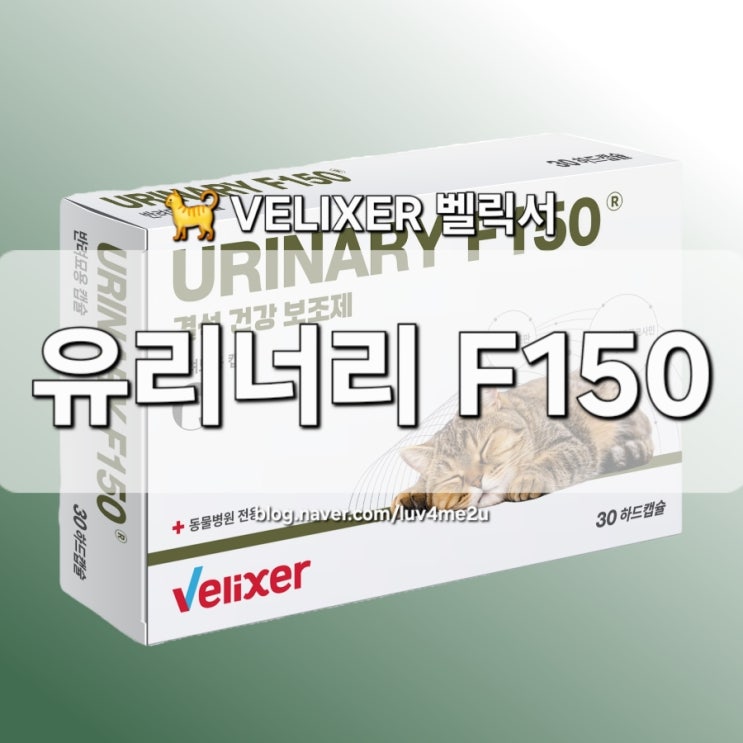 [VELIXER] 벨릭서 고양이 유리너리 F/C F150 캡슐 결석 건강 보조제 급여 후기 : 네이버 블로그
