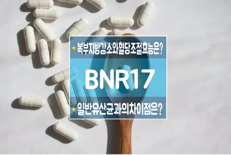 BNR 17 유산균 이란 비엔알 효능 체지방 감소 체중 조절 복부 비만 해결 다이어트 장 건강 혈당 조절 콜레스테롤 개선 감소 ...