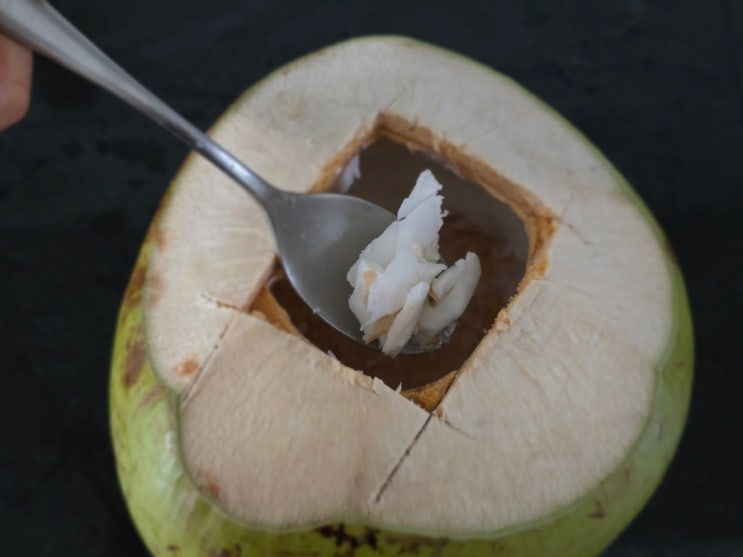 코코넛 과육 파먹기 : 네이버 블로그