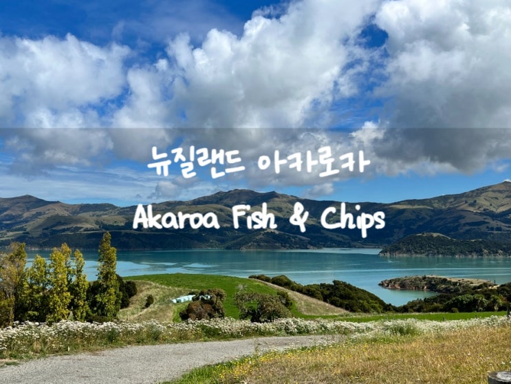 뉴질랜드 남섬 아카로카 맛집 Akaroa Fish & Chips : 네이버 블로그