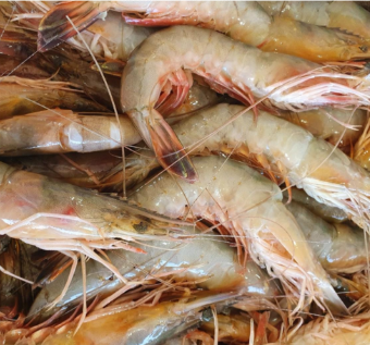 가을 제철 음식 대하 – 효능부터 맛있게 즐기는 법까지 : 네이버 블로그