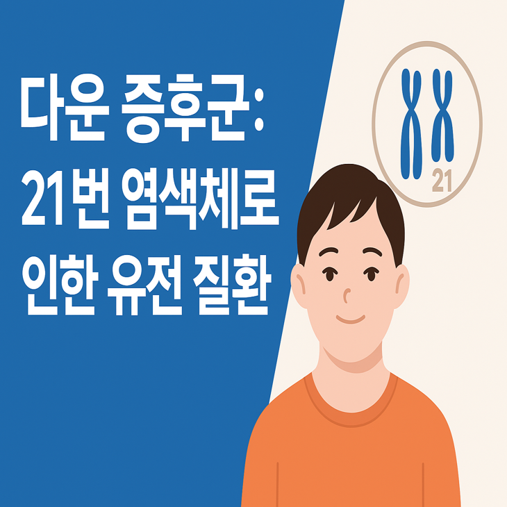 다운 증후군: 21번 염색체로 인한 유전 질환 : 네이버 블로그