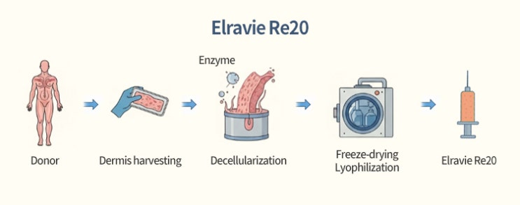 Elravie Re20: An Acellular Dermal Matrix Injectable for Skin ...